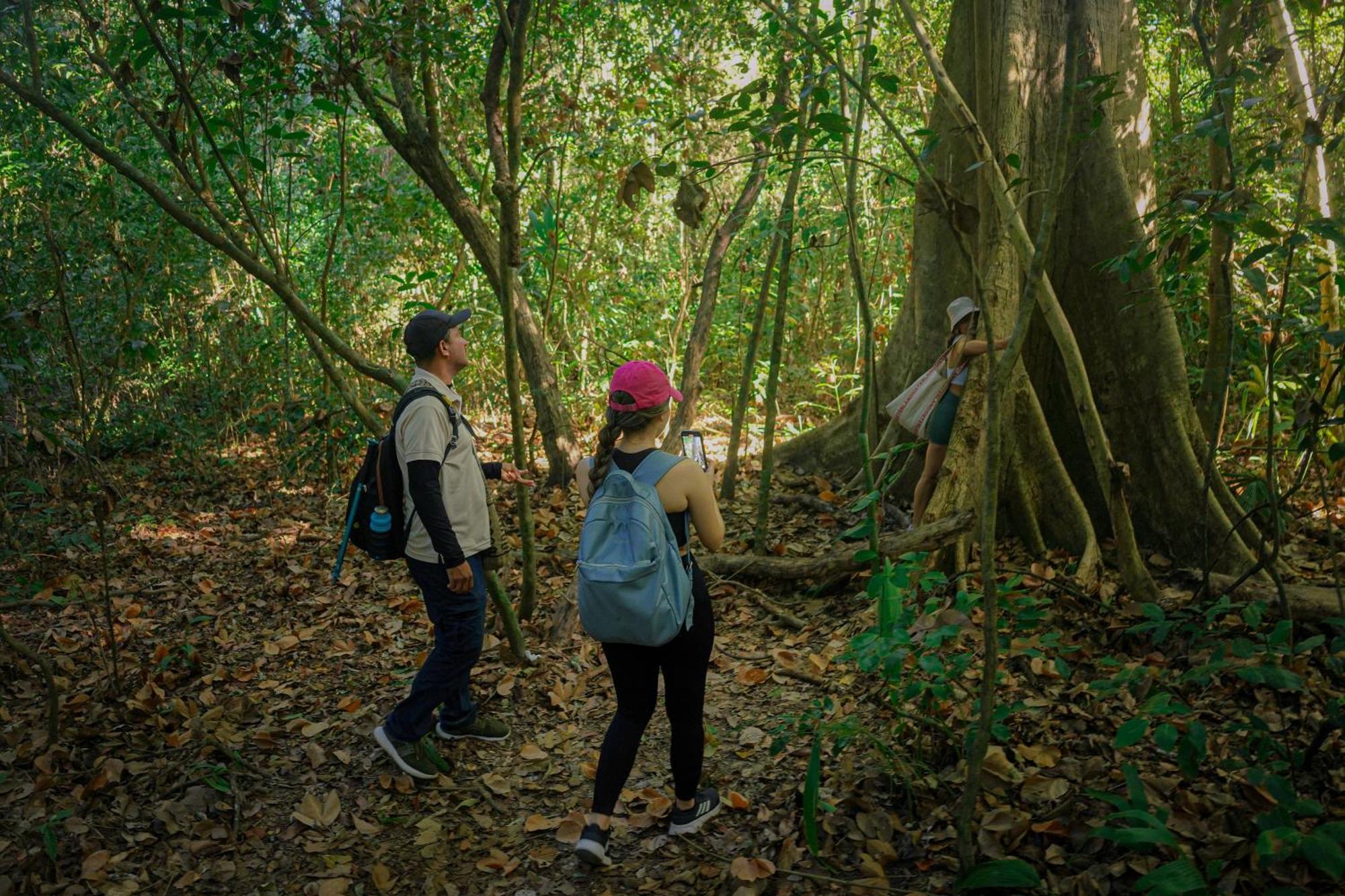 Ecohotel Yachay Tayrona Dentro Del Parque Tayrona Zaino Eksteriør billede
