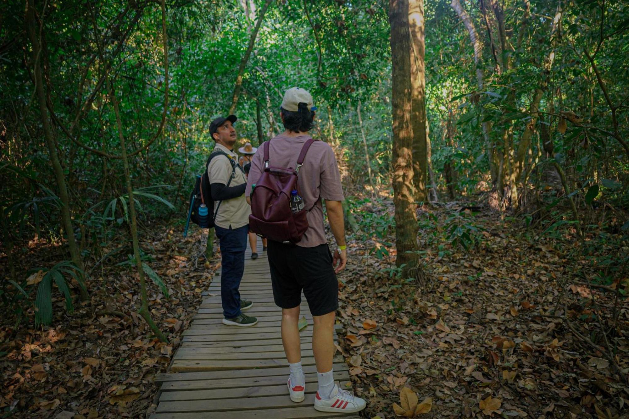 Ecohotel Yachay Tayrona Dentro Del Parque Tayrona Zaino Eksteriør billede