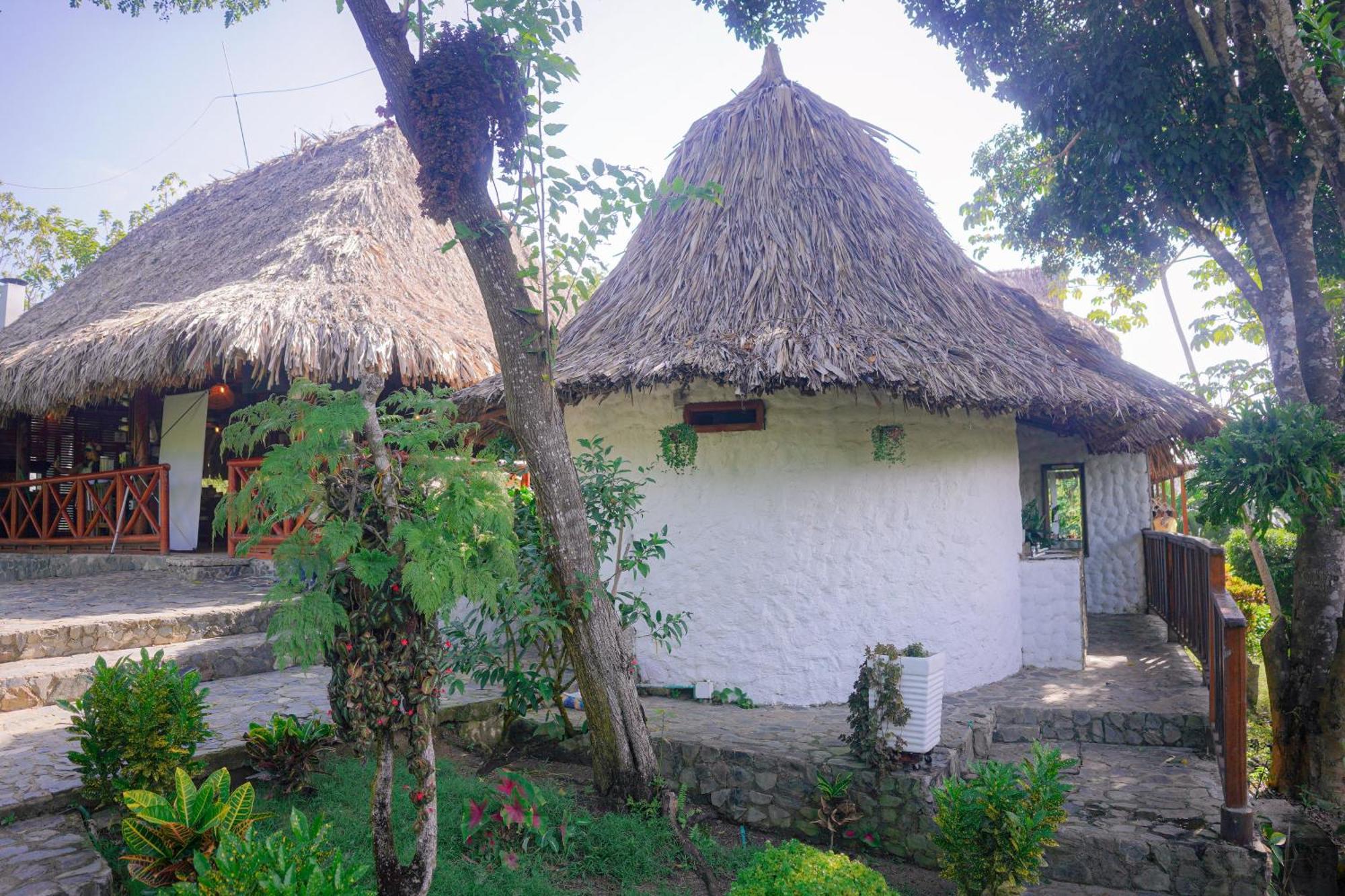 Ecohotel Yachay Tayrona Dentro Del Parque Tayrona Zaino Eksteriør billede