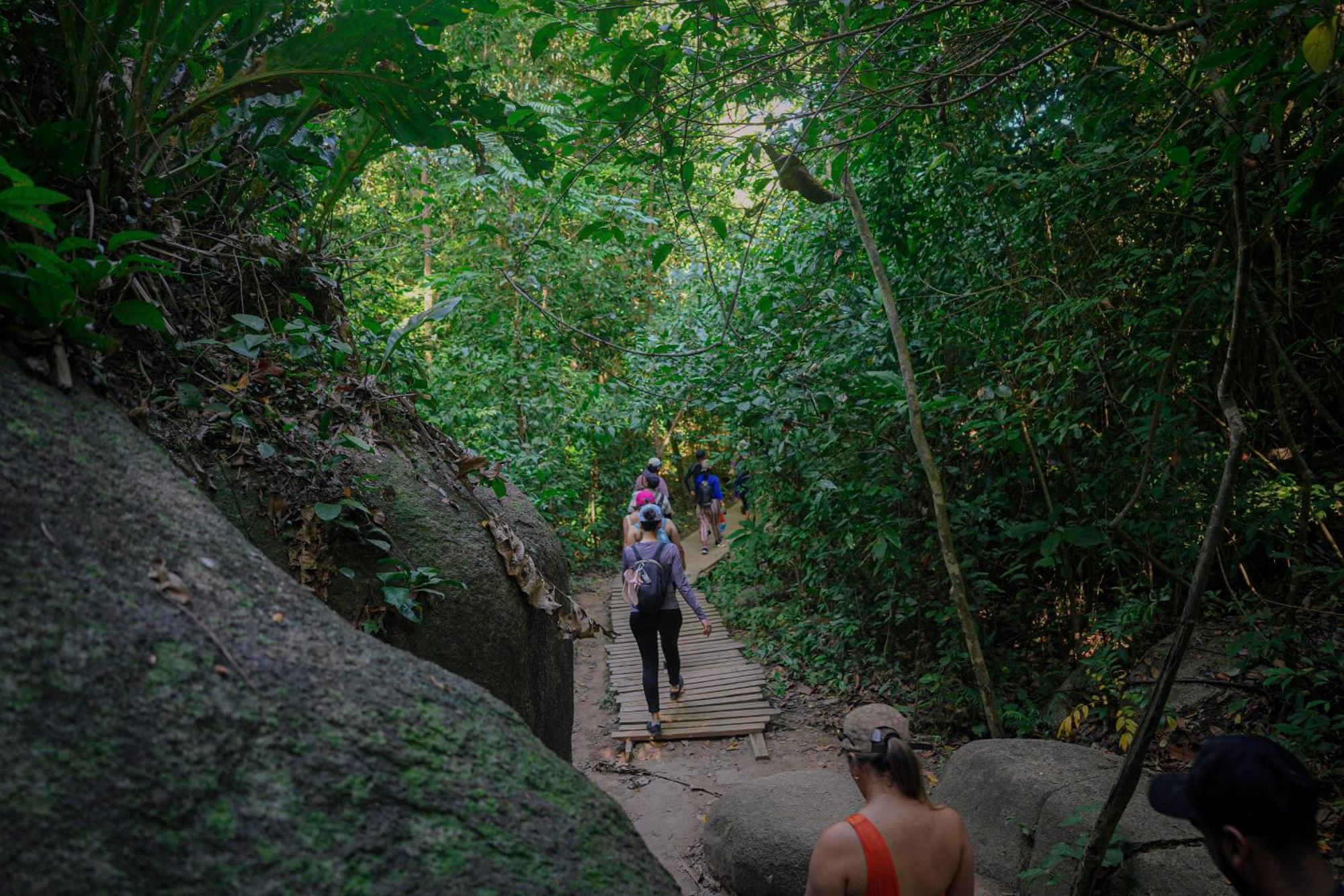 Ecohotel Yachay Tayrona Dentro Del Parque Tayrona Zaino Eksteriør billede