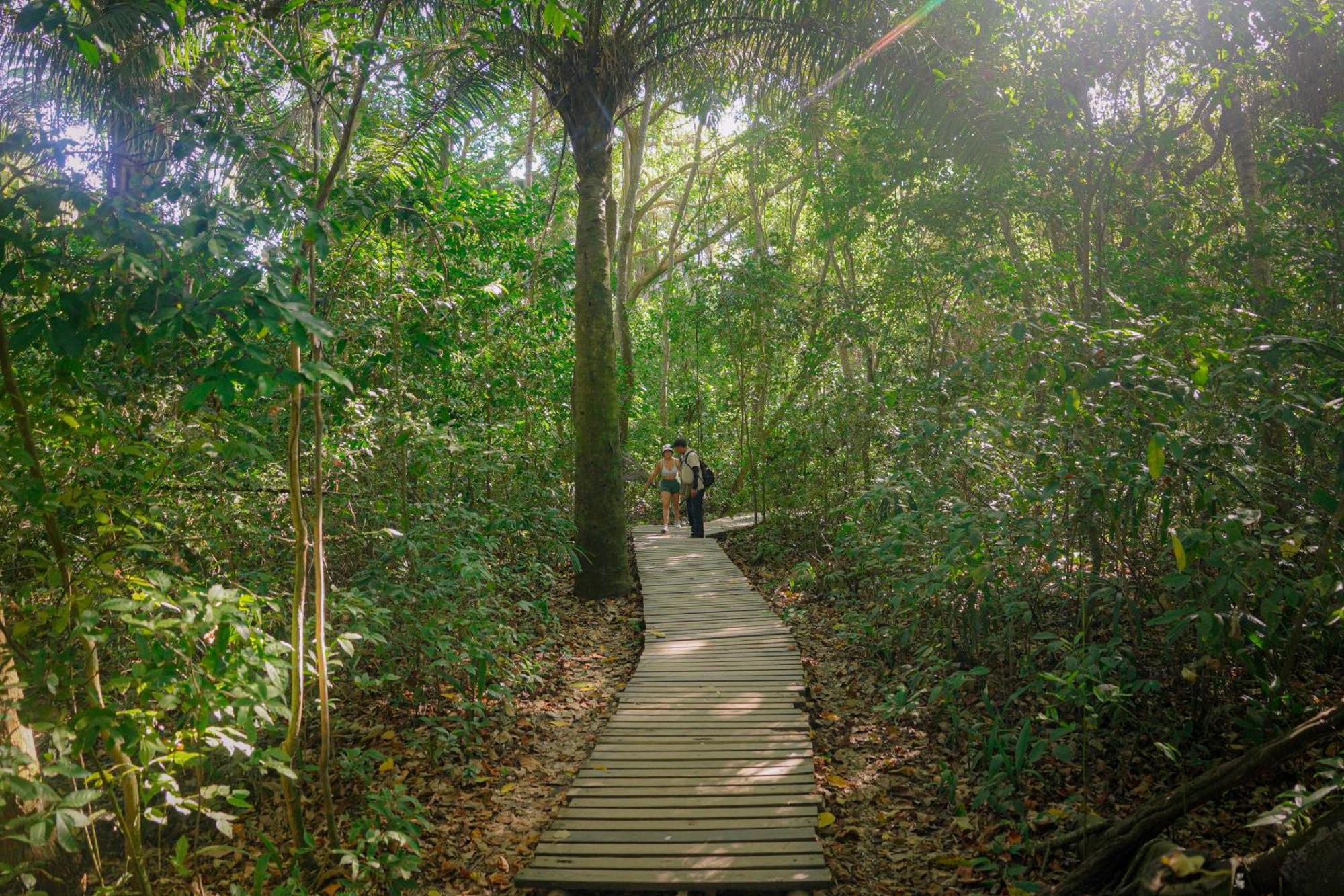 Ecohotel Yachay Tayrona Dentro Del Parque Tayrona Zaino Eksteriør billede