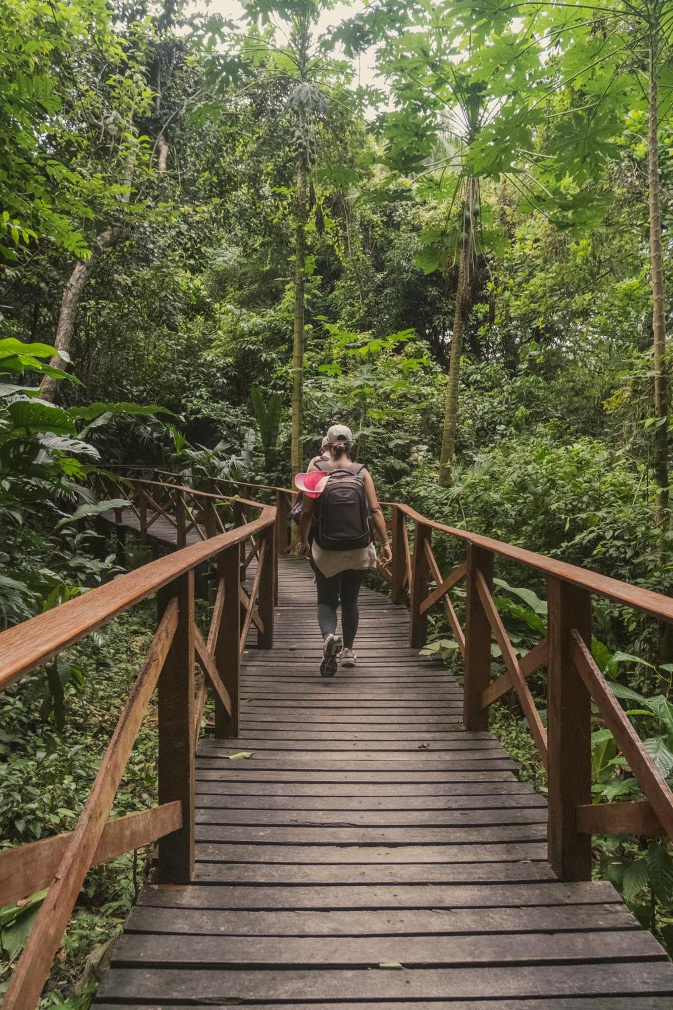 Ecohotel Yachay Tayrona Dentro Del Parque Tayrona Zaino Eksteriør billede