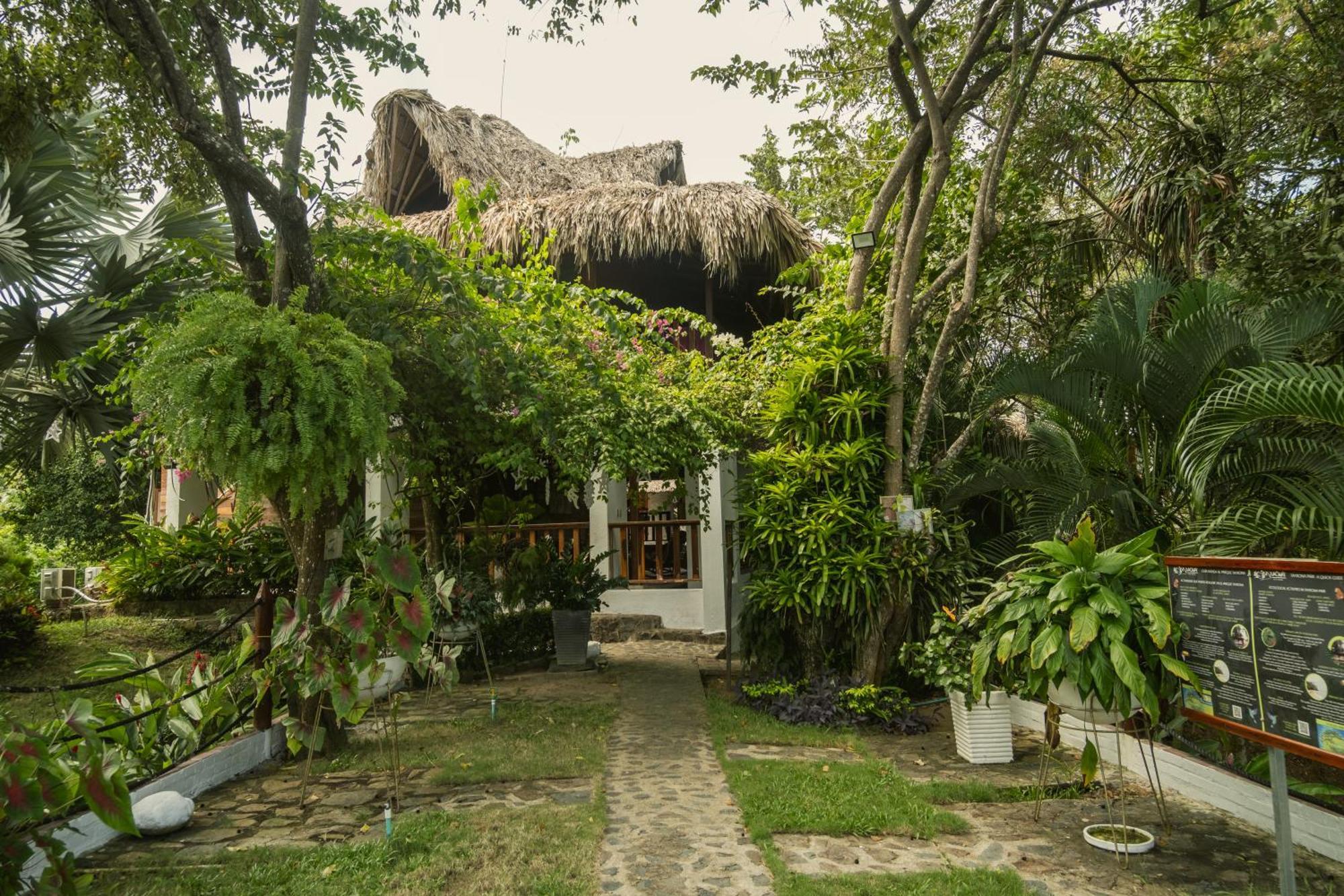 Ecohotel Yachay Tayrona Dentro Del Parque Tayrona Zaino Eksteriør billede